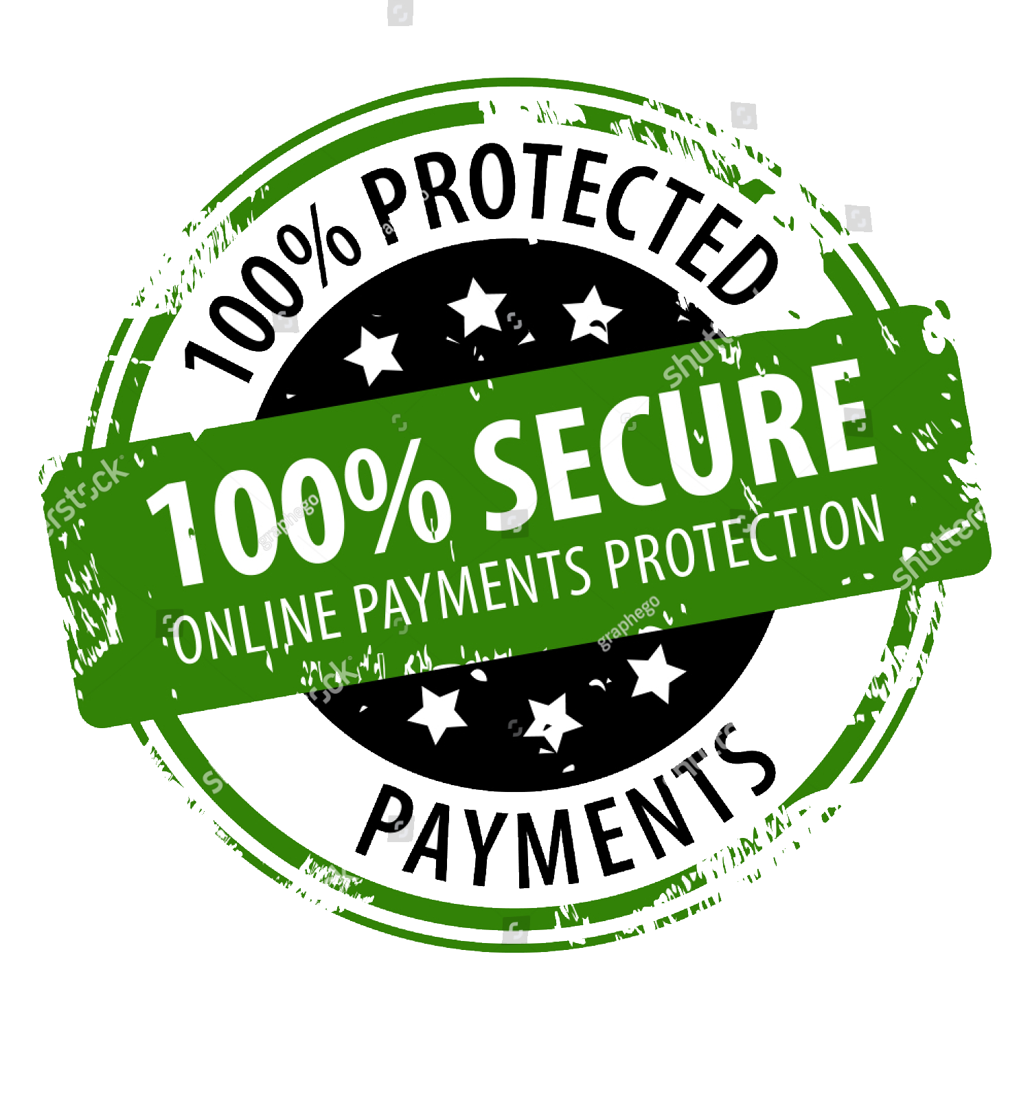 100% Secure Checkout Icon